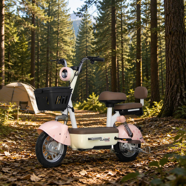 48V 350W Electric City Bike with Lead-Acid Battery, Folding Pedal & Dual Remote Control