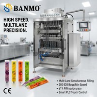 Máquina Envasadora de Líquidos en Sachet Multicarril de Alta Velocidad BANMO con Dosificación Servo y Llenado de Precisión para Gelatina y Jarabe en Stick