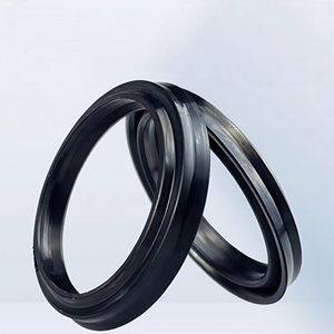 LBH DHS Joints d'huile de cylindre hydraulique FKM Essuie-glace PU Pistons Rod Dust Ring - Product Image 6