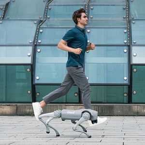 Robot chien Unitree Go2 Pro, intelligence artificielle, robotique, IA, chien intelligent à 4 pattes pour l'accompagnement et le divertissement - Product Image 4
