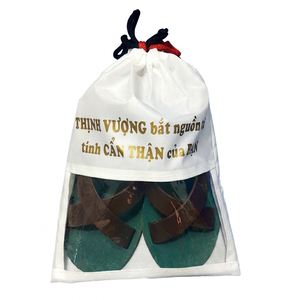 Sac à chaussures portable DTN en tissu de coton, étanche et anti-poussière, avec logo personnalisé, respectueux de l'environnement, facile à utiliser, le plus vendu - Product Image 1