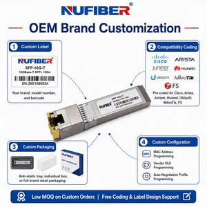 Module émetteur-récepteur SFP+ 10GBASE-T Cuivre RJ-45 30m 80m 100m Cat 6a avec négociation automatique pour réseau de campus, compatible - Product Image 1