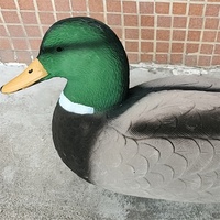 Dongguan usine offre mousse utilisé leurres de canard