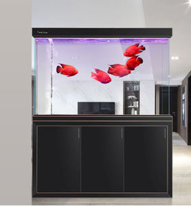 Op maat gemaakte grote Arowana-visbak van glas - Product Image 5