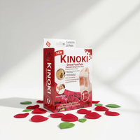 Patchs Adhésifs Médicaux Bio à la Rose pour les Pieds, à Base de Médecine Traditionnelle Chinoise, Certifiés CE, Soulageant la Fatigue