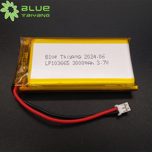 103665 3.7V 3000mAh Rechargeable Lithium Polymer Battery for Boats