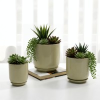 Pots de fleurs OEM ODM avec plateau, pots de fleurs en céramique épais et durables, ensemble de pots de fleurs d'intérieur et d'extérieur, petits pots en céramique