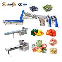 Voedselveilige aardappelborstel-polijstmachine, aardappel schilmachine, wortels wasmachines, wortels was- en sorteerlijn