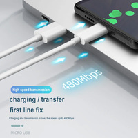 Cable de Carga Rápida de Diseño Innovador para Teléfono Celular, Computadora y Auriculares con Cable de Datos USB Tipo-C de 1M/2M/3M/Largo Personalizable