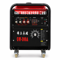 Pasokan Pabrik AC220V 5KW 300A IGBT Generator Las Busur Logam Manual Diesel Multifungsi Frekuensi Tinggi