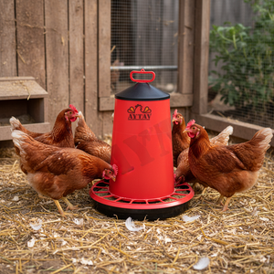 New Small 10kg Automatic Steel Chicken Feeder Portable Certified Model 302409 AYTAV 1 Year - Product Image 3
