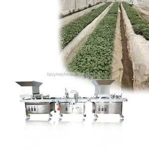 Machine automatique de plantation de graines d'oignon tomate concombre citrouille laitue machine de semis de pépinière
