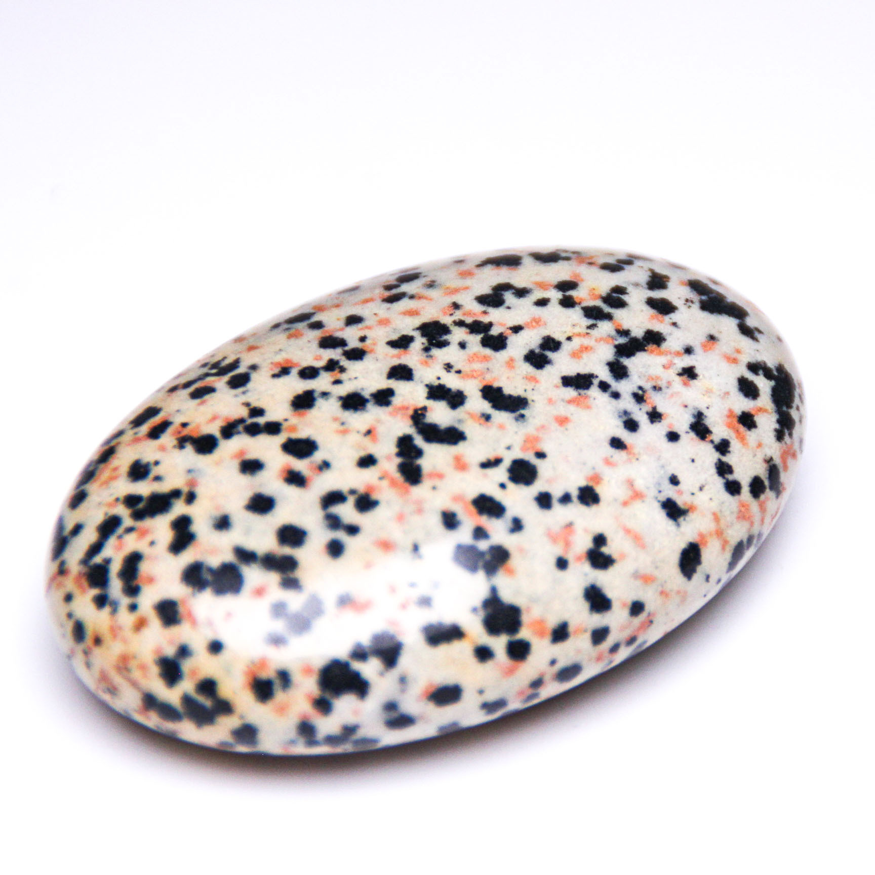 dalmation jasper