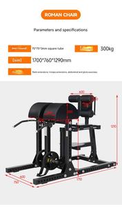 Silla Romana de Alta Resistencia para Entrenamiento Abdominal y de Espalda, Máquina de Hiperextensión Invertida Pronada, Máquina de Flexión y Elevación de Piernas - Product Image 2