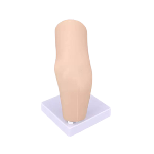 Simulateur d'arthroscopie portable 1:1 en silicone pour la formation en sciences médicales - Product Image 3