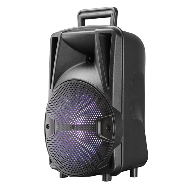 8 Inch Sound Audio Portable Party Soundbox Trolley Speaker