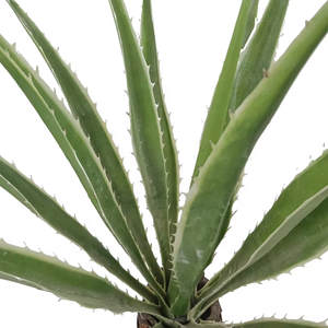 Liflike Oh Arts 105cm高いフェイクアガデ植物装飾用人工アガボ植物屋内室内装飾用 - Product Image 4