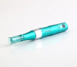 A 6S Derma Pen Cartridge Wegwerp Professionele Roestvrijstalen Cartridge Tattoo 11 / 16 / 24/ 36 / 42/ Nano/3d/5d Nee