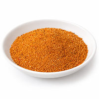 Halal gecertificeerde gemengde New Orleans poedermarinade kruidenmix 45g 45g*24 stuks*3 zakken/doos Kant-en-klaar groothandelslevering 15 maanden houdbaar