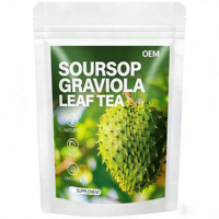 Sachets de thé aux feuilles de corossol (Graviola) OEM ODM en stock, prêts à être expédiés – Tisane naturelle végétalienne sans OGM pour le soutien immunitaire – 20 sachets