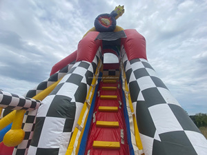 Castello Gonfiabile Commerciale a Tema Cartoni Animati per Bambini con Scivolo e Parete da Arrampicata, Ideale per Noleggio Esterno - Product Image 5