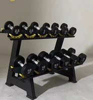 Support de rangement pour haltères en acier thermolaqué à deux niveaux, organisateur de poids pour salle de sport à domicile, Cross Fit, équipement de club de fitness