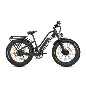 Dernier prix promotionnel Vélo électrique double 1000W Batterie au lithium sans balais Vélo de montagne Meilleure vitesse - Product Image 2