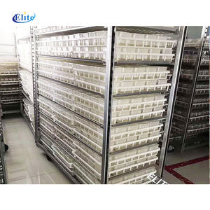 ग्रीनहाउस नर्सरी संयंत्र परिवहन चार पहिया पोर्टेबल उपकरण ओएम स्टेनलेस स्टील ट्रॉली 600 किलोग्राम भार क्षमता के साथ - Product Image 5