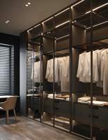 Portes de placard en verre avec éclairage pour un accès facile et des solutions de rangement pratiques