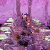 Projection murale interactive unique en 3D pour les restaurants d'intérieur
