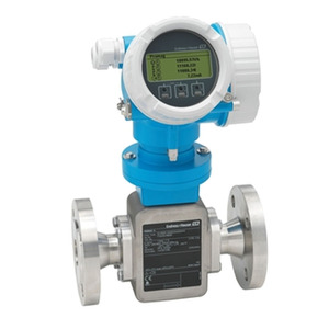 เครื่องวัดอัตราการไหลแบบดิจิตอลอัจฉริยะ Endress+Hauser สำหรับแก๊สและวัสดุพลาสติก รุ่น 50P 53P ความแม่นยำ 0.5% ที่ปรับแต่งได้ตามความต้องการของลูกค้า (OEM) - Product Image 1
