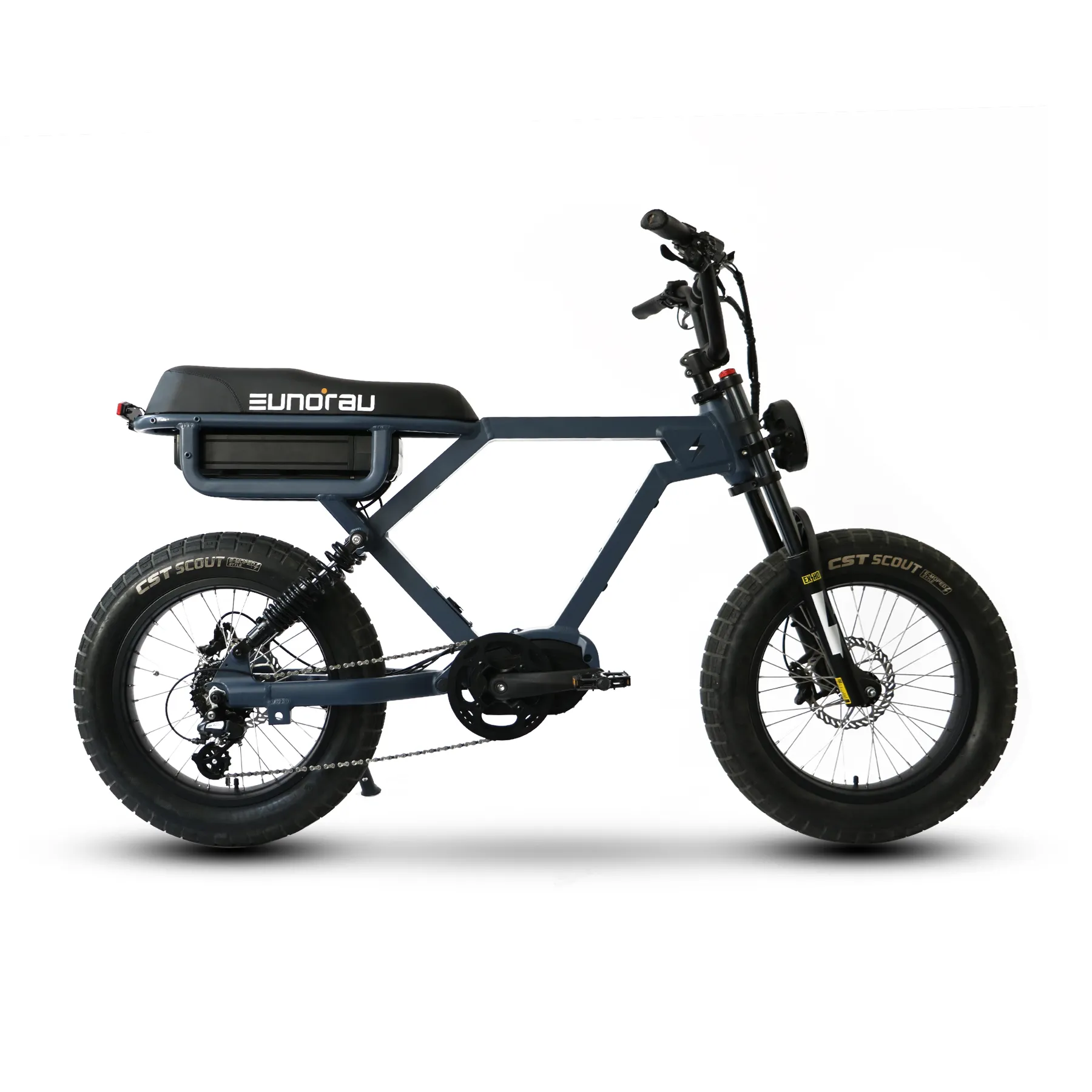 BTN 20 인치 * 4.0 팻 타이어 전기 자전거 52V 1000W 플래시 미드 드라이브 Ebike 전기 오토바이 E 팻바이크