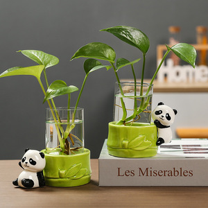 Maceta hidropónica de cerámica Ruijie Panda para plantas verdes como Pothos, decoración de escritorio de oficina. - Product Image 1