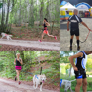 Sabuk Kustom untuk Berlari atau Berjalan Balap Pro Menarik Husky Menjamur Latihan Bikejoring Anjing Peliharaan Sabuk Skijoring Canicross - Product Image 6