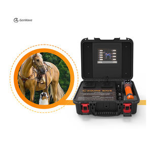Máquina de Terapia de Ondas de Choque para Uso Equino para Alivio Rápido del Dolor - Product Image 1