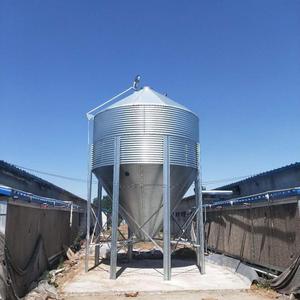10 ton Cina Su Misura acciaio inox <span class=keywords><strong>di</strong></span> alimentazione silo - Product Image 2
