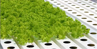 Tuyau PVC bon marché hydroponique PP Grow Channel système de ravin vertical NFT