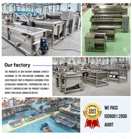 Ligne de Production Industrielle et Commerciale Entièrement Automatique sur Mesure pour Chips de Pommes de Terre Frites et Frites Surgelées