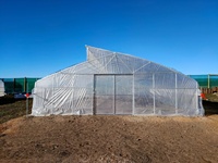 Conception de fenêtre de toit de serre agricole à dents de scie à faible coût et grande envergure pour la culture de légumes dans les serres tunnel