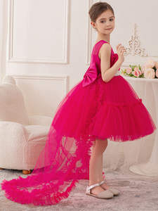 <span class=keywords><strong>La</strong></span> robe de <span class=keywords><strong>la</strong></span> jeune fille est très élégante. <span class=keywords><strong>Grande</strong></span> robe de <span class=keywords><strong>princesse</strong></span> longue en tulle papillon en filet pour <span class=keywords><strong>la</strong></span> remise des diplômes - Product Image 4