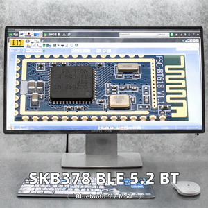 Module BLE 5.2 <span class=keywords><strong>SKYLAB</strong></span> SKB378 avec puce EFR32BG22 pour balise, suivi d'actifs et contrôle intelligent - Fabricant d'origine - Product Image 2
