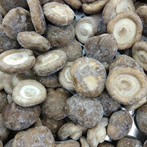 Hongo <span class=keywords><strong>Shiitake</strong></span> congelado IQF a granel entero 1/4 corte setas mixtas setas congeladas Nameko Oyster Boletus Venta caliente - Product Image 1