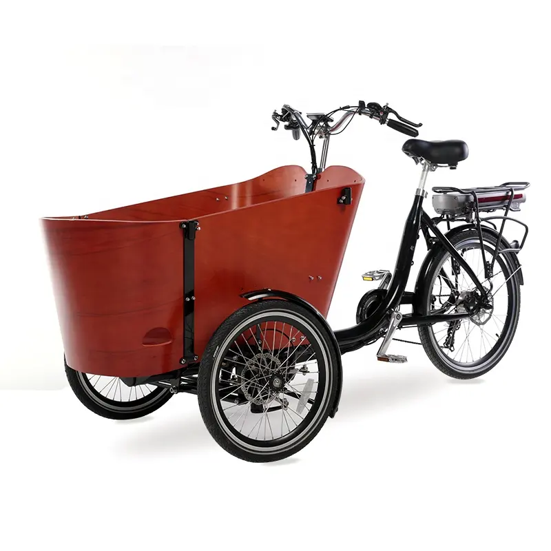 Bicicleta de carga eléctrica, triciclo de carga de tres ruedas con motor de 250W