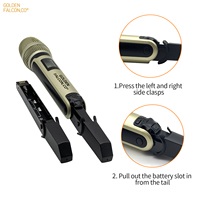 Microphone professionnel sans fil, double canal, UHF, véritable diversité, système de micro longue portée