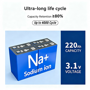 Offerta Speciale: Celle di <span class=keywords><strong>Batterie</strong></span> agli Ioni di <span class=keywords><strong>Sodio</strong></span> Enook 3V, <span class=keywords><strong>Batterie</strong></span> agli Ioni di <span class=keywords><strong>Sodio</strong></span> 200ah 220ah per Droni, Spedizione UE DDP - Product Image 3
