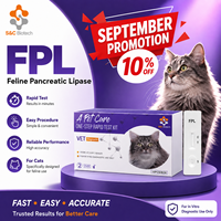 Kit de test rapide d'antigènes combinés Feline FPV FCoV GIA, cassette de diagnostic pour chats, fabricant et fournisseur vétérinaire