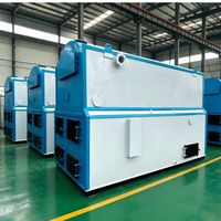 Caldera de Agua Caliente de Biomasa Horizontal Automática, Calentador de Agua Industrial para Hoteles, Alimentado con Carbón y Leña