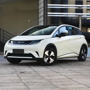중국 BYD 돌고래 전기 자동차 패션 자유 기사 판 420KM 새로운 에너지 자동차