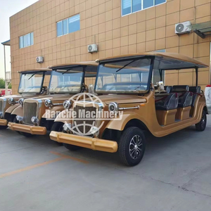 Carrito de Golf Eléctrico DOT Lsv, Vehículo Clásico Antiguo en Venta - Product Image 1