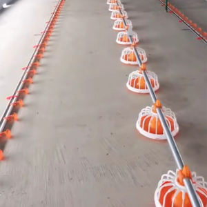 Tamaño personalizado 5-6 <span class=keywords><strong>Parrilla</strong></span> PP Plástico Pollo <span class=keywords><strong>Gallo</strong></span> Alimentador Pan Equipo de aves de corral para comederos de animales - Product Image 4